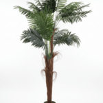 TALL ARTIFICIAL PALM TREE | ONLINE SALES OF FAKE PALM PLANTS