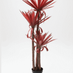 Artificial Agave Plant 140cm with Red Leaves – 3 Trunks and Potting Vase