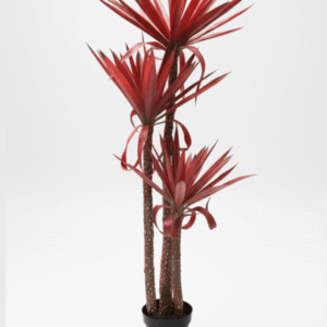 Artificial Agave Plant 140cm with Red Leaves – 3 Trunks and Potting Vase