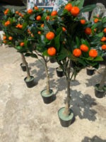 ARTIFICIAL ORANGE TREE PLANTS | NEARLY NATURAL PLANTS - Image 5