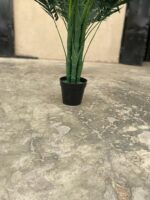 ARTIFICIAL PALM TREES | WHOLESALERS WANTED NATIONWIDE - Image 5