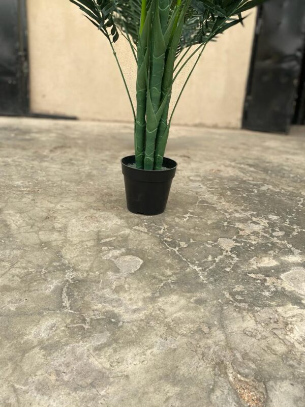 ARTIFICIAL PALM TREES | WHOLESALERS WANTED NATIONWIDE - Image 5