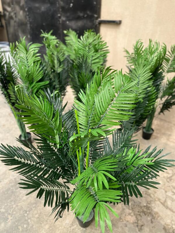 ARTIFICIAL PALM TREES | WHOLESALERS WANTED NATIONWIDE - Image 3