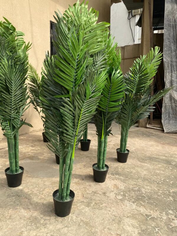 ARTIFICIAL PALM TREES | WHOLESALERS WANTED NATIONWIDE - Image 4