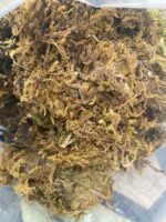 Mendels Artificial Moss | Weight:250g - Image 2