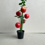 Premium Artificial Potted Plant with Apple Fruits – 70cm Mini Indoor Decor