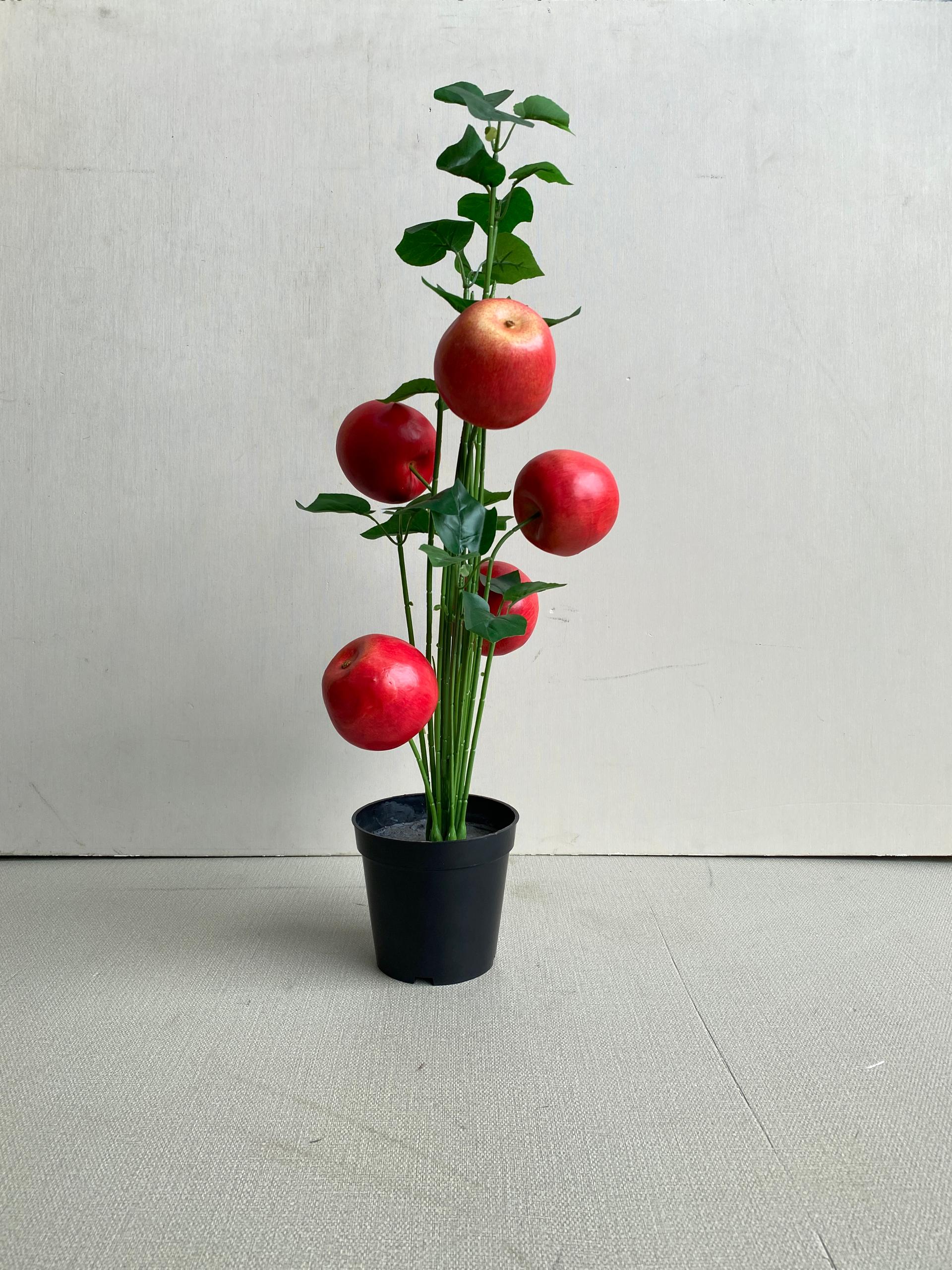 WhatsApp-Image-2025-11-25-at-14.25.41_7d7c76a1.jpg Premium Artificial Potted Plant with Apple Fruits – 70cm Mini Indoor Decor - Image 1