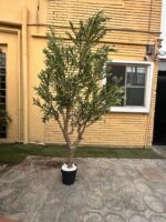 Artificial Olive Tree 270cm | Luxury Extra Tall Indoor Décor in Nigeria - Image 2