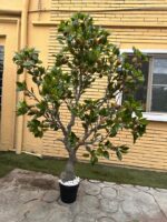 Artificial Kiwi Tree 220cm | Luxury Tall Indoor Decor in Nigeria - Image 3