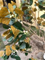 Artificial Bodhi Tree 200cm | Luxury Indoor Decorative Tree in Nigeria - Image 4