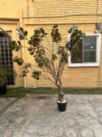 Artificial Bodhi Tree 260cm | Extra Tall Luxury Indoor Decorative Tree in Nigeria - Image 2