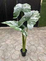 Artificial Alocacia Plant 165cm Green – 3 Trunks with Cement Potting Vase - Image 2