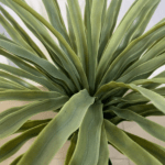 Artificial Mini Yucca Plant | Nigeria No1 Plants/Flowers Wholesaler - Image 4