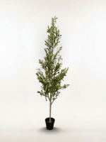 Artificial Olive Tree 180cm | Luxury Indoor Decorative Plant in Nigeria