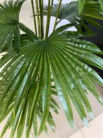 Artificial Mesh Fan Palm Plant 160cm Green – 11 Leaves with Cement Pot - Image 3
