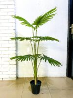 Artificial Fan Palm 130cm Green – 12 Leaves with Cement Pot, No Mesh - Image 3
