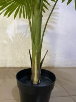 Artificial Fan Palm 130cm Green – 12 Leaves with Cement Pot, No Mesh - Image 2
