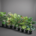 Vibrant Artificial Taro Plants – 75cm Decorative Indoor Greenery in Multiple Colors